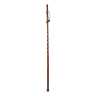 Brazos Twisted Trekker Walking Stick